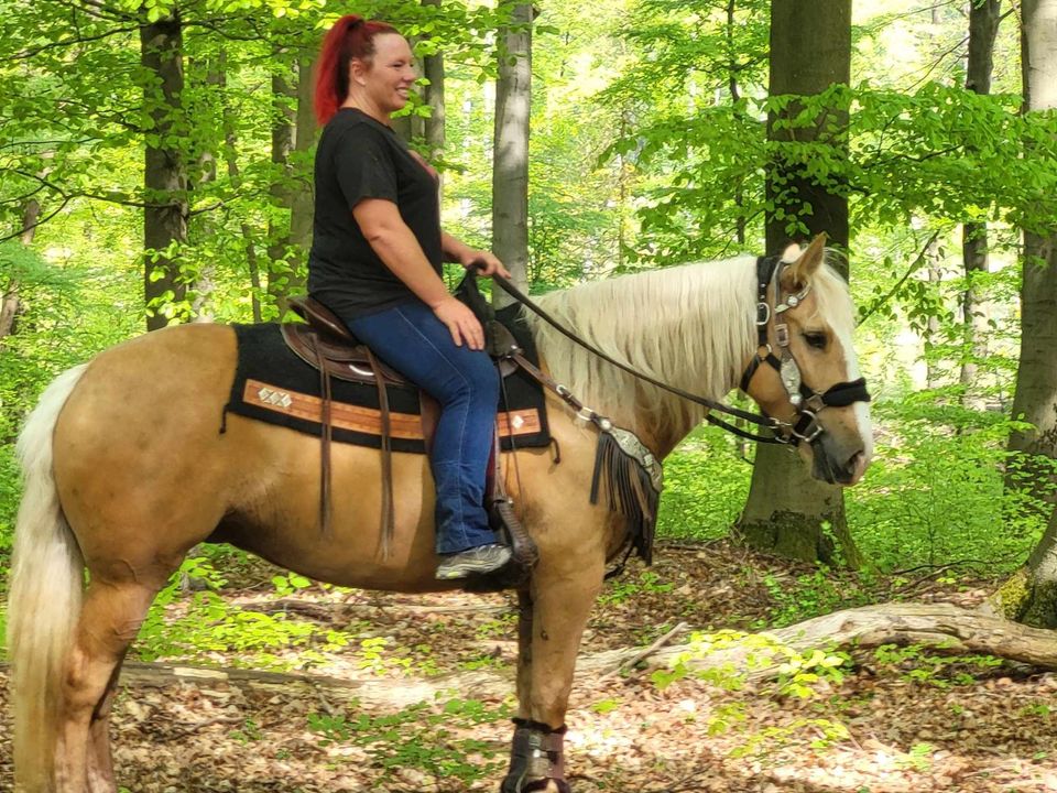 Tolle Palomino-Stute -Freizeitpferd in Urbach Westerw