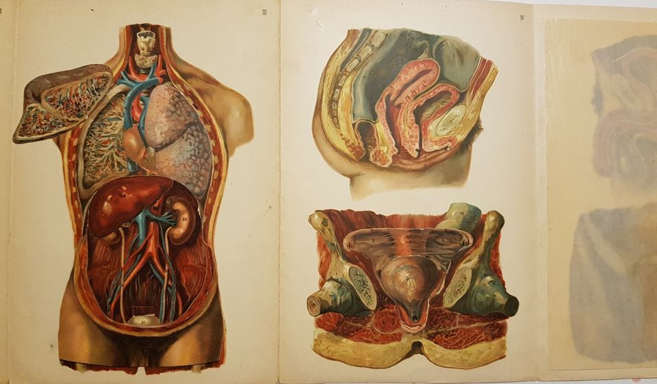 Ärztebuch von Dr. med. Anna Fischer-Dükelmann aus 1922 in Süßen