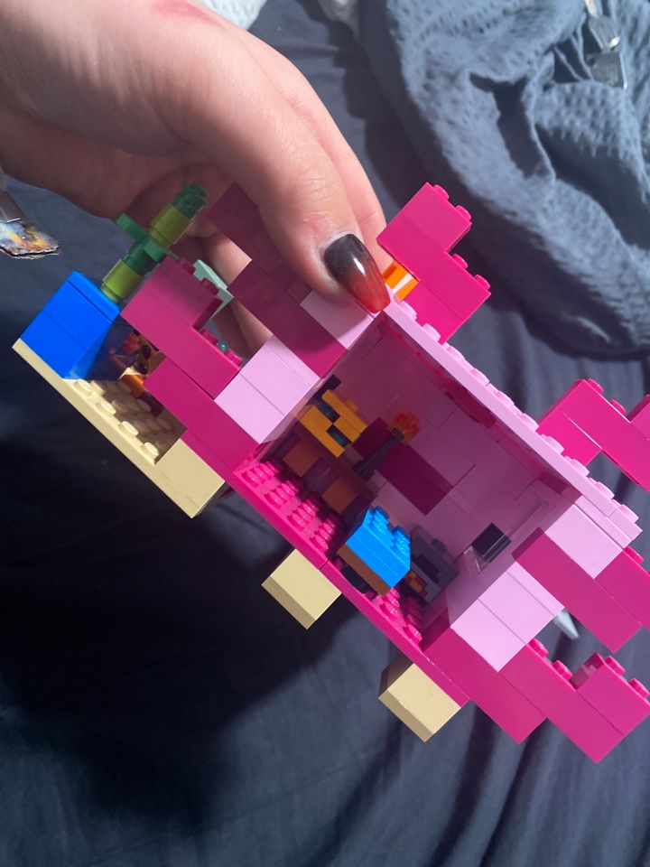 Lego axolotl Set / Haus in Lastrup