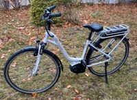 TRIUMPH E-Bike Pedelec 25 km/h Größe 45cm / S Cloud /weiß Hamburg - Wandsbek Vorschau