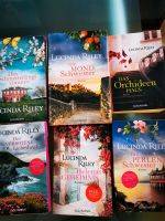 6 Bücher von Lucinda Riley Baden-Württemberg - Schemmerhofen Vorschau