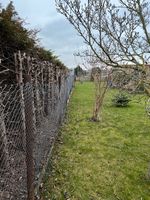 Wildschweinschutz-Zaun Garten Stabgitterzaun Leipzig - Seehausen Vorschau