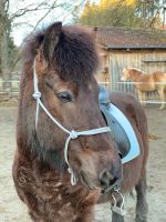 Hellblaues Knotenhalfter COB Baden-Württemberg - Leutkirch im Allgäu Vorschau