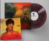 Sharon Van Etten - We've Been...⭐️ Colored Vinyl + sig. Artprint Sachsen-Anhalt - Halle Vorschau