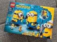 LEGO 75551 Minions Figuren mit Versteck NEU OVP ungeöffnet Hamburg-Nord - Hamburg Barmbek Vorschau