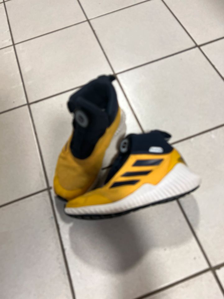 Boa Schuhe gr 30 Adidas in Nittenau
