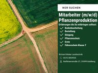 Suche Mitarbeiter Pflanzenproduktion Parchim - Landkreis - Goldberg Vorschau