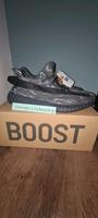 Yeezy MX Dark Salt 45 1/3 NEU!!! Sachsen-Anhalt - Hettstedt Vorschau