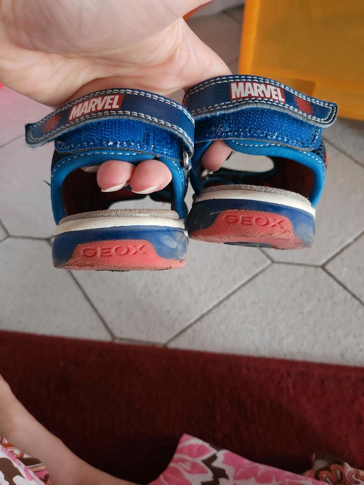 Geox Sandalen Spiderman Marvel Gr. 30 in Deißlingen