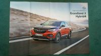 Poster beidseitig in Farbe Opel Grandland X Bremen - Schwachhausen Vorschau