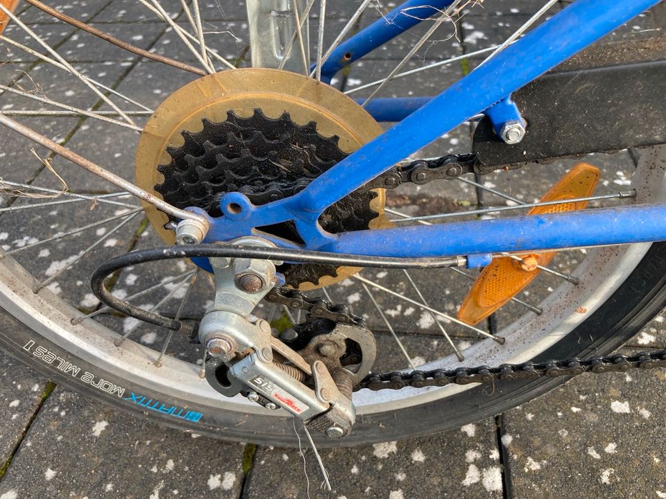 Funtrailer Nachläufer Kinderfahrrad in Weimar (Lahn)