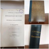 2409B Antiquarisches Buch von 1901 von Dr. August Hoffmann Bayern - Augsburg Vorschau
