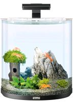 Aquarium Tetra 30L Hessen - Dietzenbach Vorschau