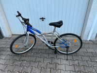 Fahrrad 26 Zoll Bayern - Weidenberg Vorschau