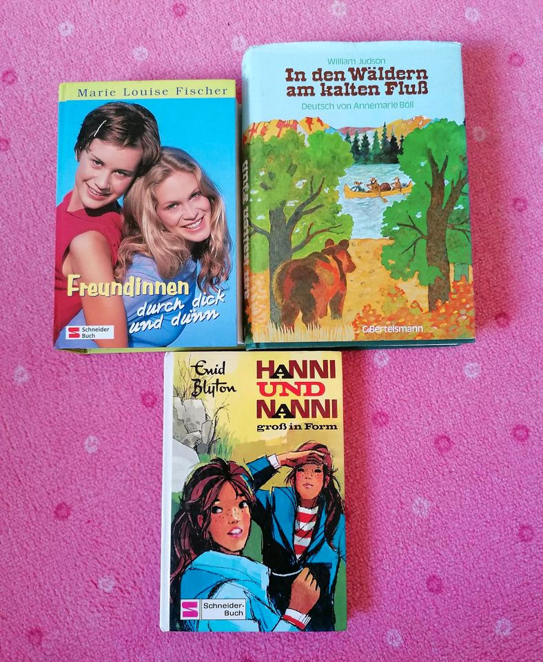 Diverse Kinderbücher, Bücher in Norden