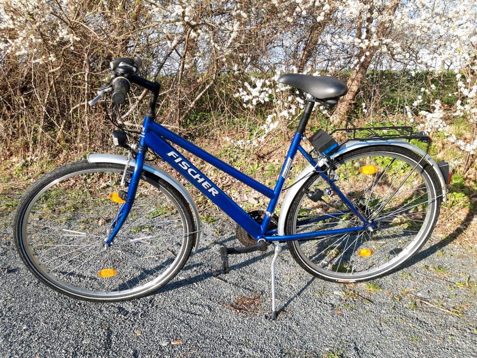 Damenfahrrad 28 Zoll in Bannewitz