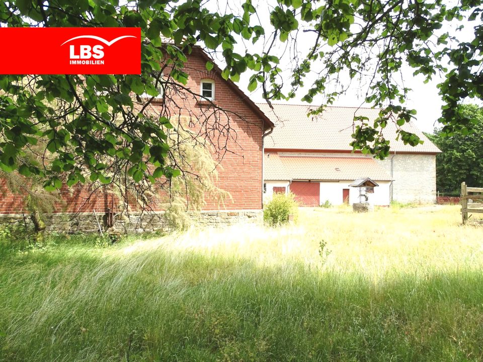 Großes Anwesen in historischem Umfeld in Büddenstedt