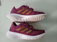 Adidas Sneaker Tensaur Run Größe 32 Bordo Sachsen - Neukirchen/Erzgeb Vorschau