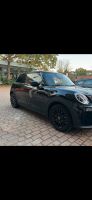 Felgen Mini Cooper Baden-Württemberg - Neckarbischofsheim Vorschau