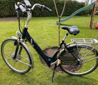 Batavus E-bike Niedersachsen - Lathen Vorschau