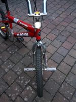BMX Cross Fahrrad / Kinder / MTB Rheinland-Pfalz - Weiler bei Bingen Vorschau