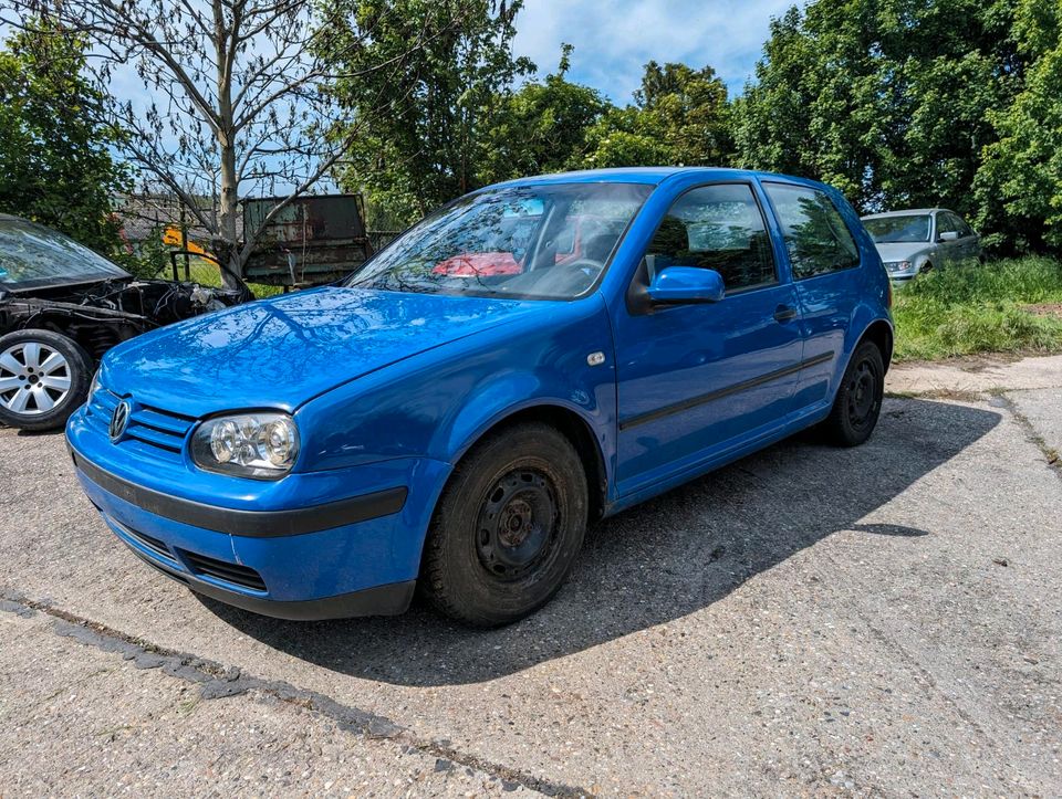 Schlachtefest VW Golf 4 / Golf IV 1,6l, 105 PS in Bad Kösen