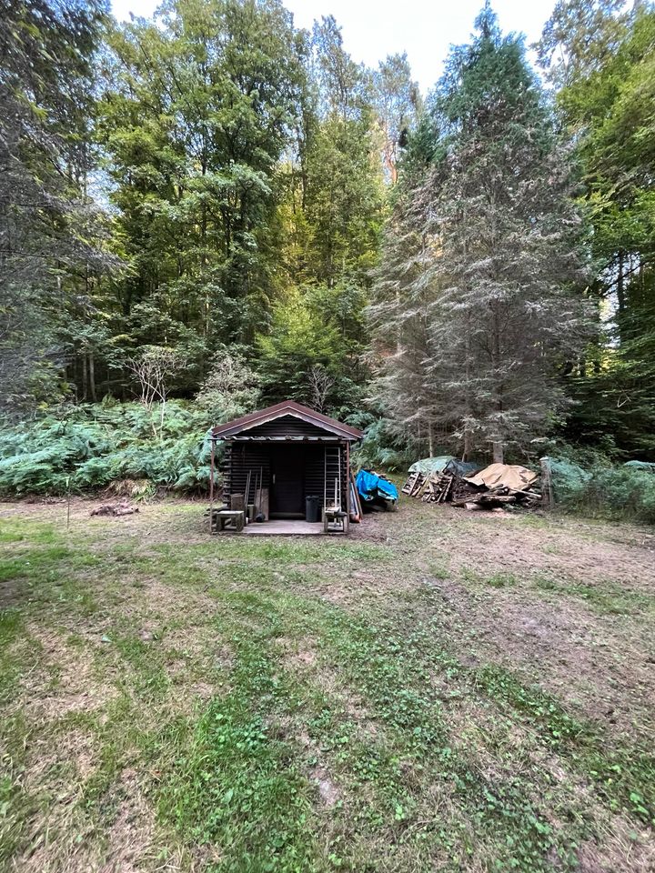 Fischerweiher Trulben/Pirmasens Hilstbach in Hilst