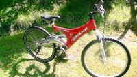 26 er Mountainbike voll gefedert Schleswig-Holstein - Trappenkamp Vorschau