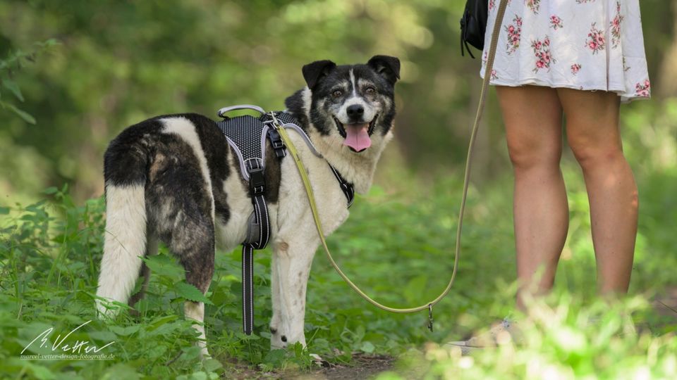 Golden Girl Liana - lustig, entspannt und aufgeschlossen in Biblis