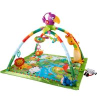 Fisher Price Spielbogen Rainforest Wuppertal - Elberfeld Vorschau