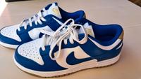 Nike Dunk Low blau weiß Niedersachsen - Alfeld (Leine) Vorschau