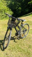 Bulls Raptor Cross 28 Zoll Fahrrad Trekkingbike Damen Nürnberg (Mittelfr) - Südstadt Vorschau