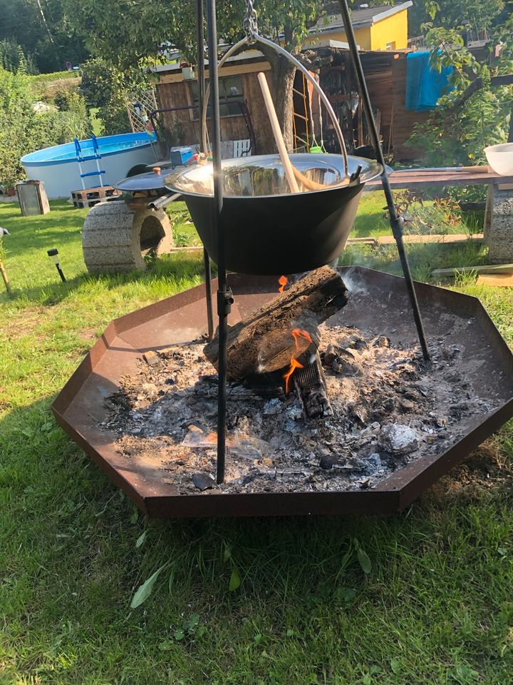 Hole mich aus dem Winterschlaf ( Pachtgarten) in Gera