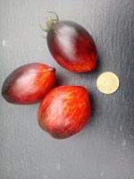 Tomatensamen #Kozula       10 Samen = 2,50 € Nordrhein-Westfalen - Würselen Vorschau