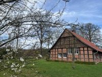 Doppelhaushälfte im Außenbereich Lengerich Nordrhein-Westfalen - Lengerich Vorschau