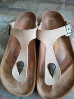 Birkenstock Gizeh Brandenburg - Potsdam Vorschau