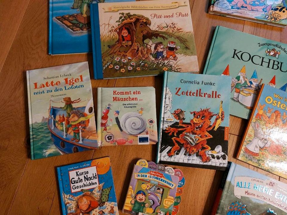 Viele Kinderbücher Kinderlieder Bambi Kochbuch Osterhase in Göhl