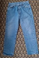 Vintage Replay Herren Jeans W36 blau Baden-Württemberg - Güglingen Vorschau