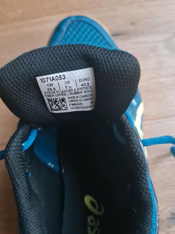 Asics Hallenschuhe gr. 40.5 in Zornheim