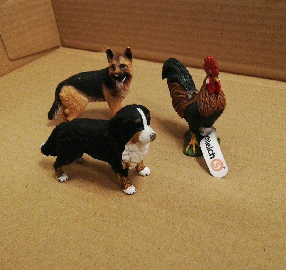 Schleich Bauernhof Tiere (Berner Sennenhündin, Schäferhund, Hahn) in Sögel