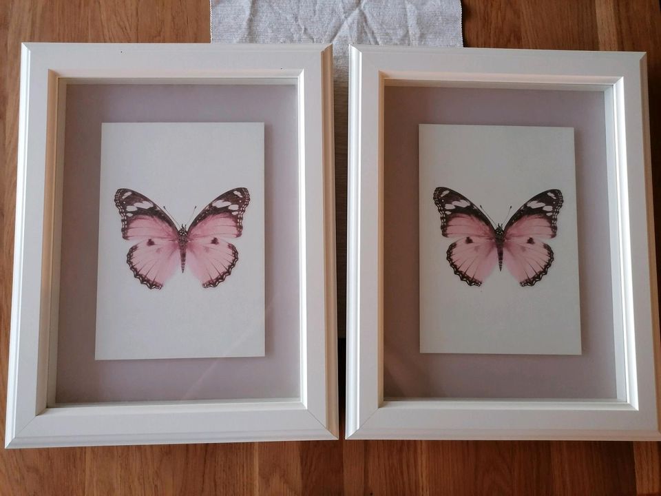 Verkaufe zwei Bilderrahmen (38x48cm) mit Schmetterlingsmotiv in München