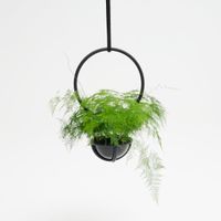 Blumenampel | Atelier Haussmann Pankow - Prenzlauer Berg Vorschau