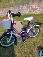 Kinderfahrrad 12 Zoll Sachsen - Wurzen Vorschau