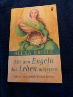 Verschiedene Bücher Niedersachsen - Rhede Vorschau