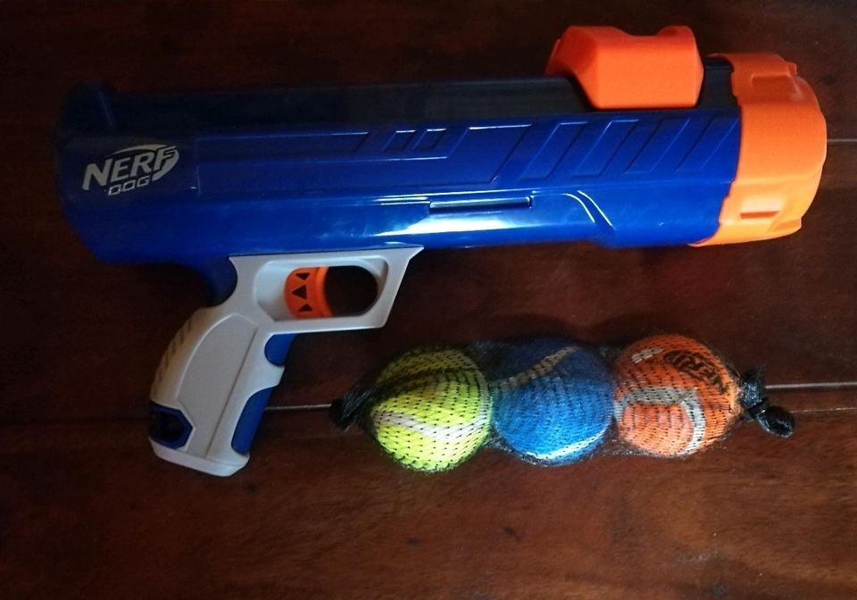 Nerf dog Ball Pistole Waffe Hunde Spielzeug in Bayern - Ramsthal | eBay  Kleinanzeigen ist jetzt Kleinanzeigen