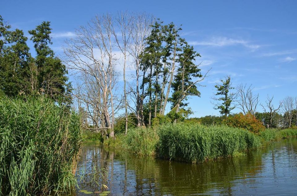 Urlaub auf der Peene / Boot mieten / Lütt Hütt / Peenebike Loitz in Loitz (Bei Demmin)