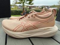 Asics Gel Nimbus 25 Neu Gr. 40/40,5/41,5  Laufschuh Damen Rheinland-Pfalz - Wittgert Vorschau