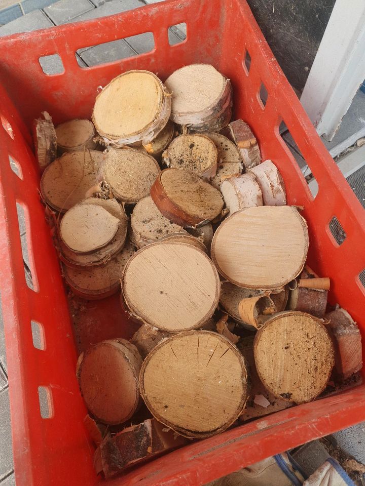 Holzscheiben Birke in Lennestadt