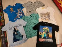6 T-Shirts, H&M,  Größe 122/128, Junge Sachsen - Treuen Vorschau