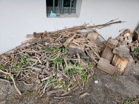 Holz für Kamin o.ä anzündholz Bochum - Bochum-Wattenscheid Vorschau